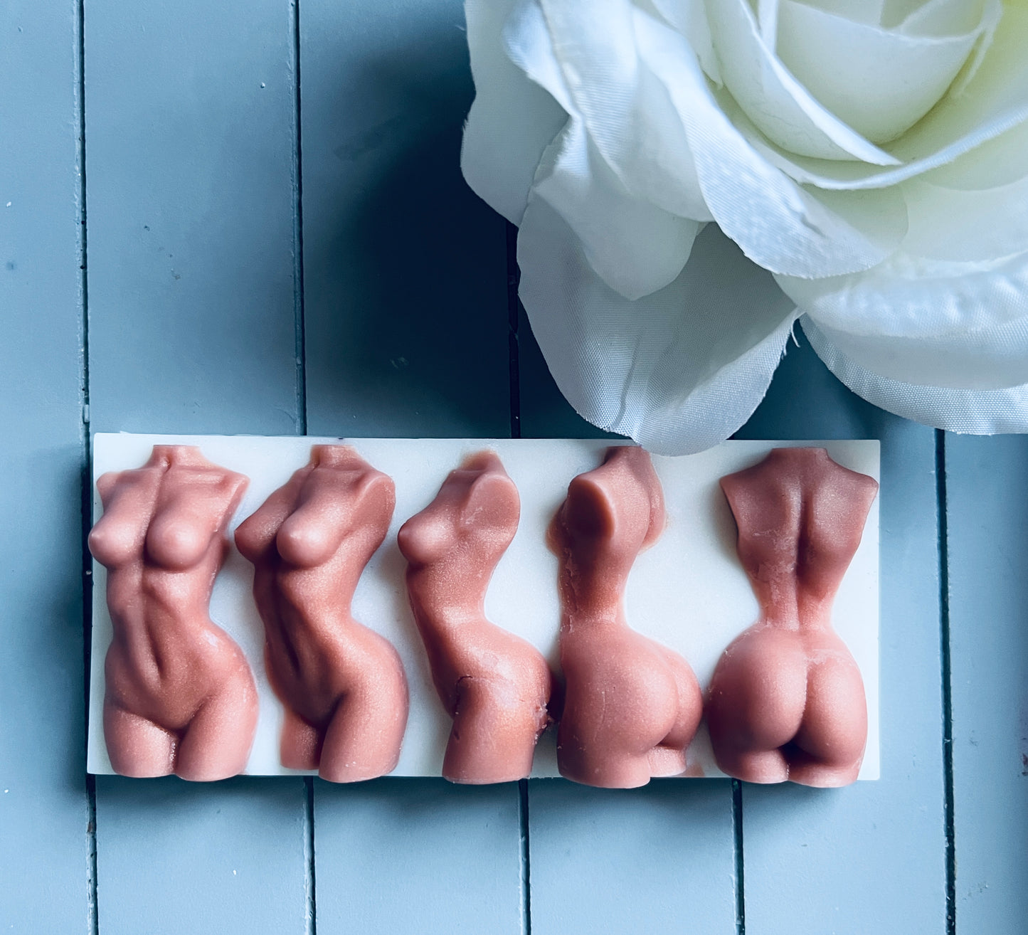 Goddess Snap Bars SI