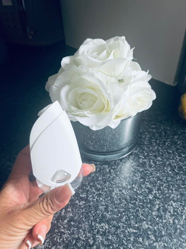 Plug In Freshener